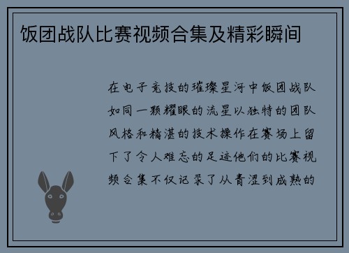 饭团战队比赛视频合集及精彩瞬间